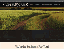 Tablet Screenshot of copper-creek.net